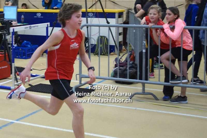6196 halle_ob.jpg